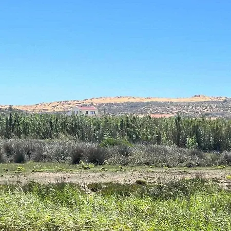 招待所 Casa Presente 卡拉帕泰拉