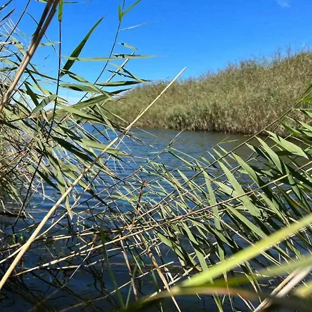 بيت ضيافة Casa Presente 3*