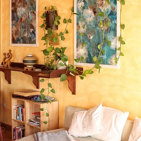 Casa Presente 3*